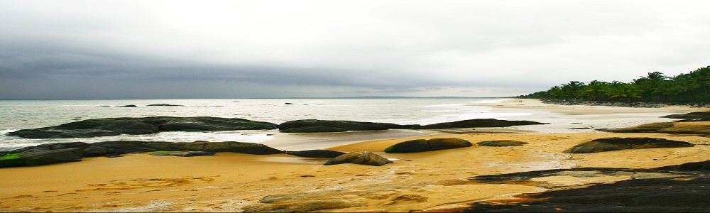 Padinjarekkara Beach - Opening Hours, Reviews & Photos [2024] | Trip.com