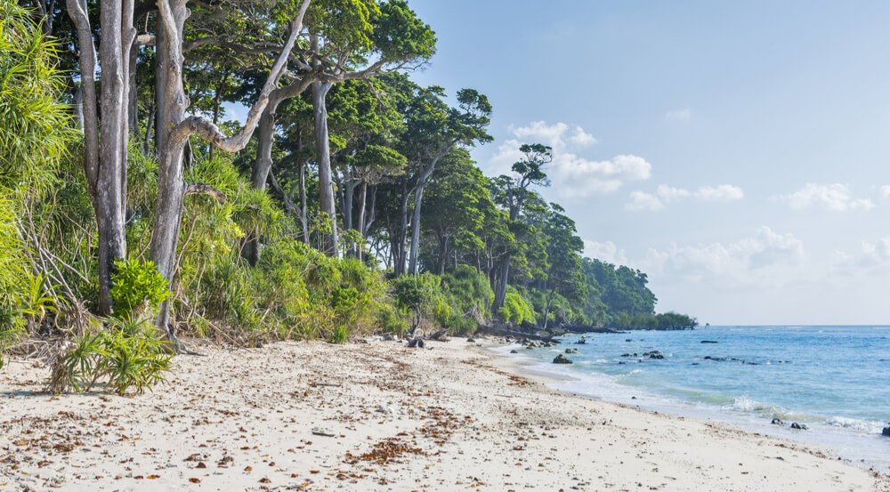 Laxmanpur beach Andaman and Nicobar Island