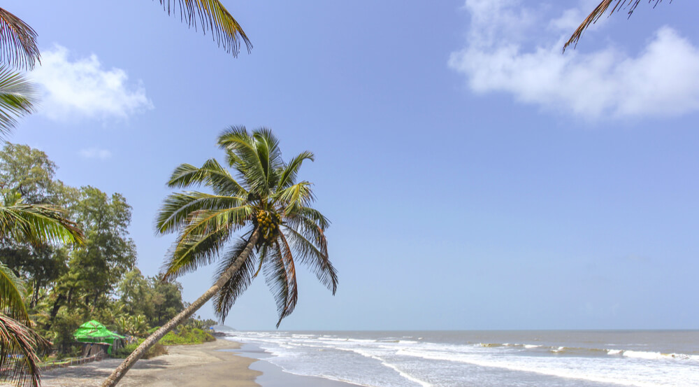 A view of the famous beach of India ASHWEM BEACH, Goa India