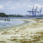 Fort Kochi tropical beach with heavy industry in background
