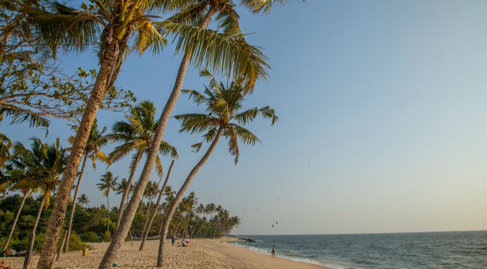 Marari Beach in Kerala is one of the most popular and beautiful beaches in India