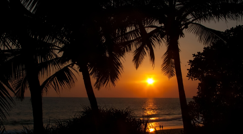 Red sunset and silhouettes of palm trees on the Chowara beach, Kerala, India