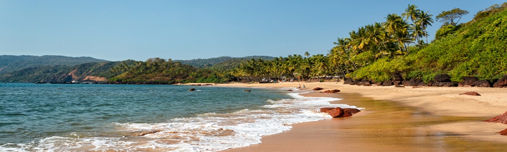 Cola Beach, Goa